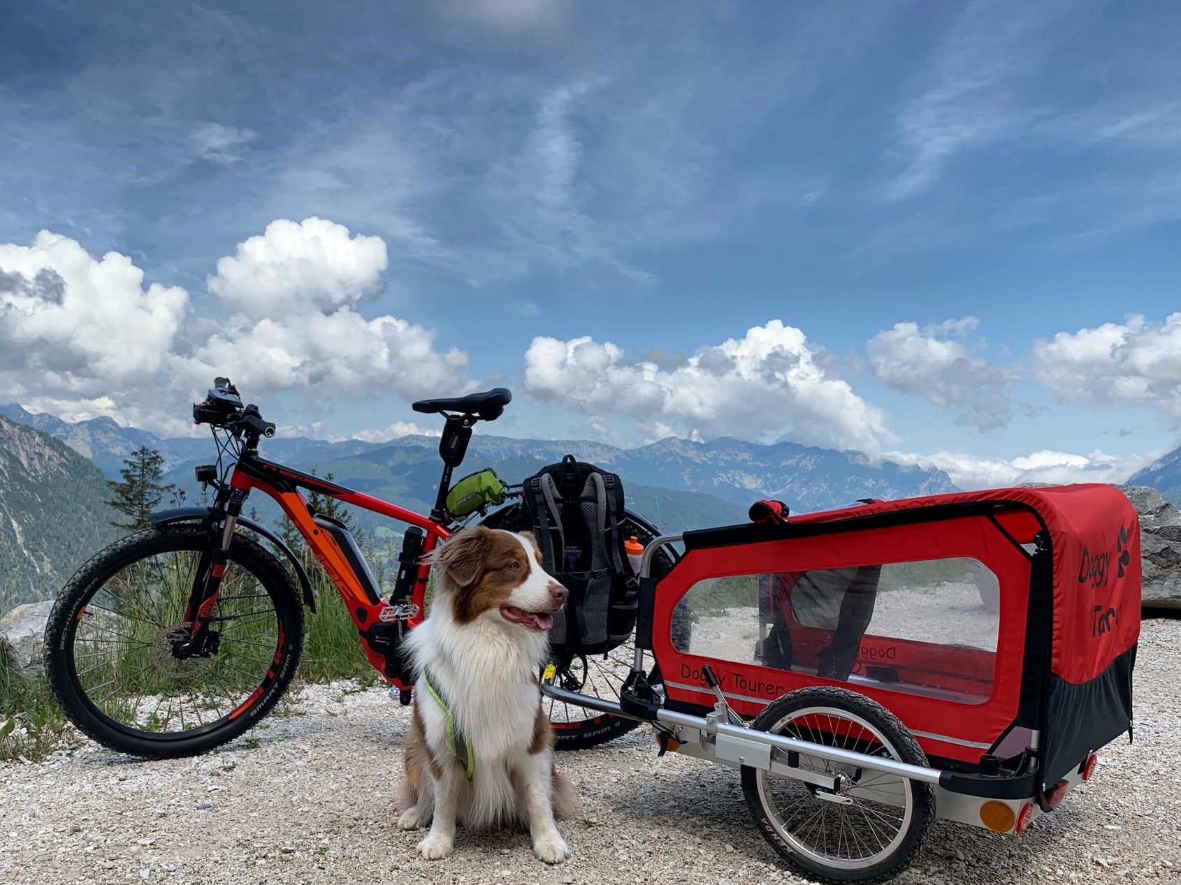 doggy-tourer-voziky-pro-velke-psy